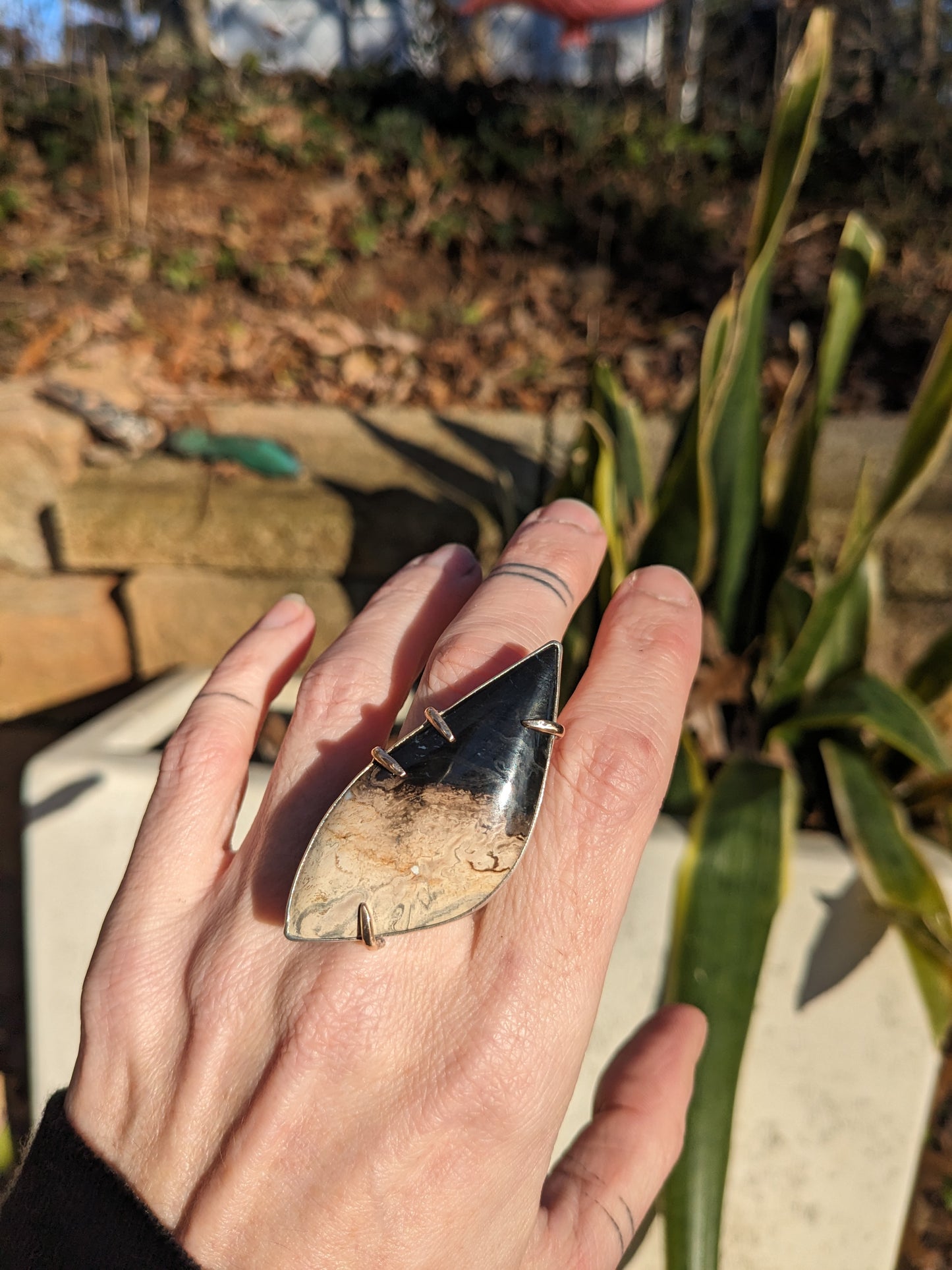 Large fossilized palmwood ring