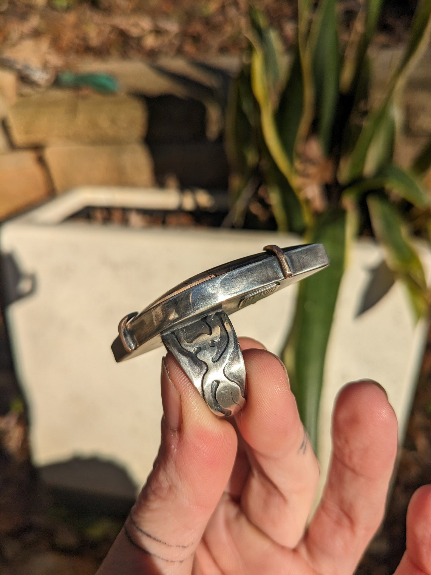 Large fossilized palmwood ring