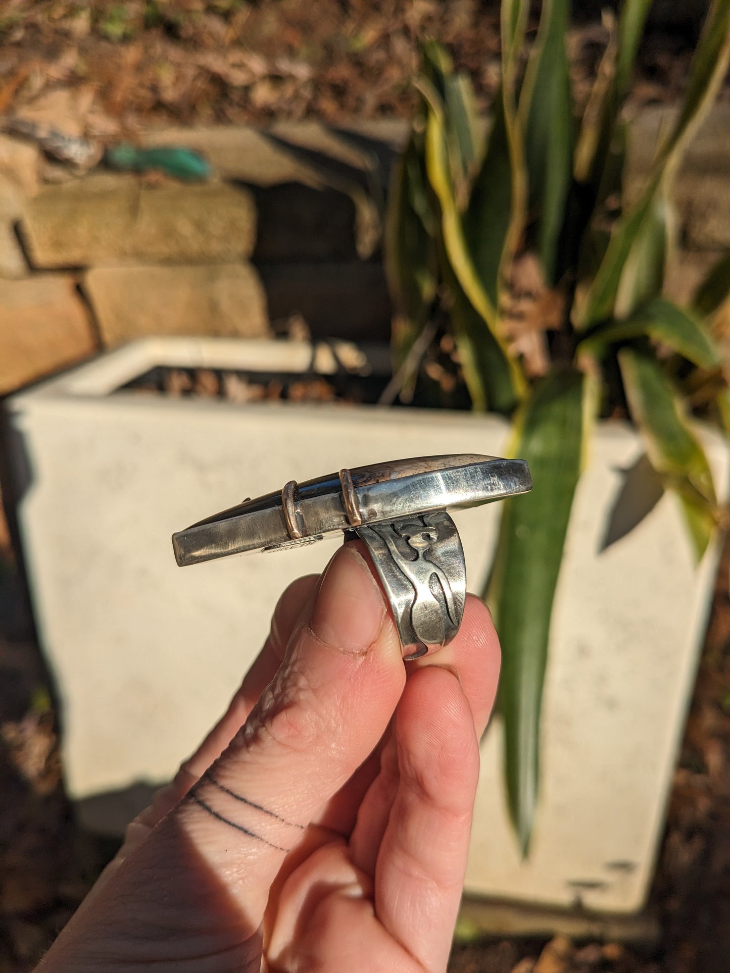 Large fossilized palmwood ring